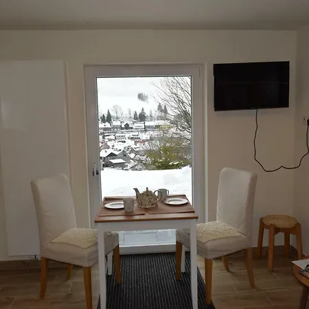 Glockenturmblick Apartment Sankt Andreasberg Exterior photo